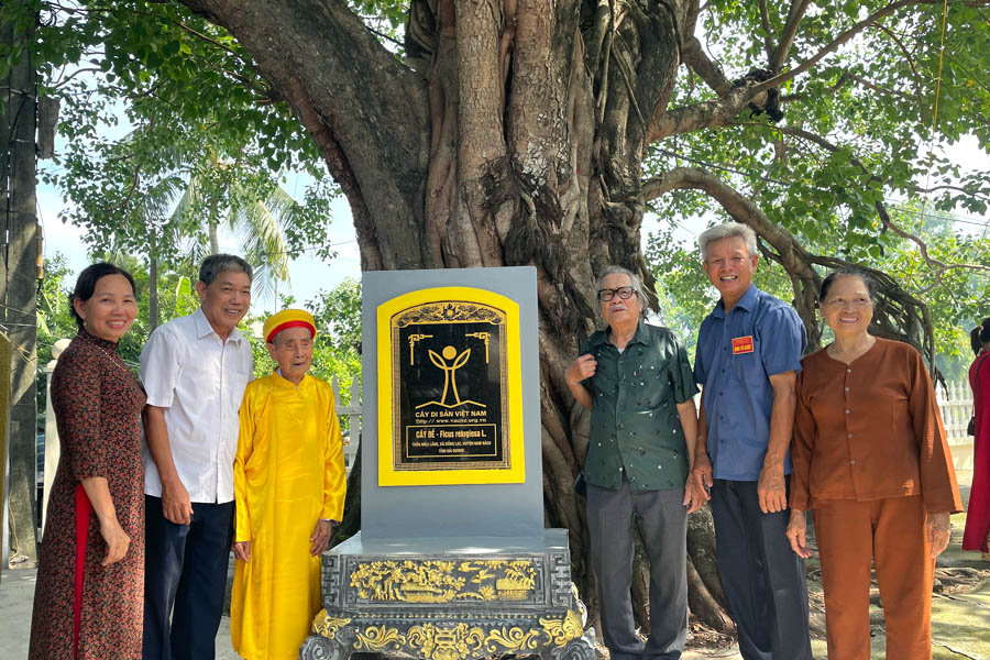 Hải[-]Phòng:[-]Cây[-]Bồ[-]đề[-]hơn[-]200[-]năm[-]tuổi[-]được[-]công[-]nhận[-]là[-]Cây[-]Di[-]sản[-]Việt[-]Nam